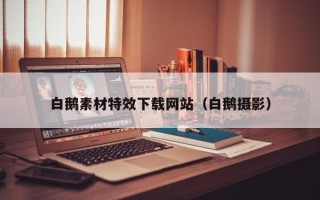 偃师白鹅素材特效下载网站（白鹅摄影）